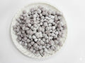 Falsa Fruit