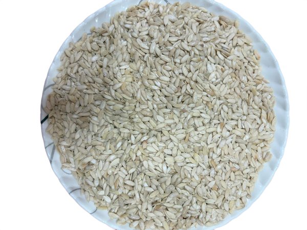Muskmelon Seeds